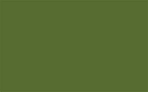 Olive green colour